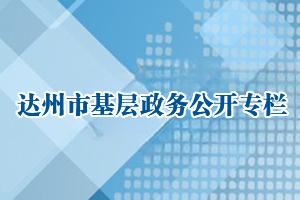 基层政务公开标准目录